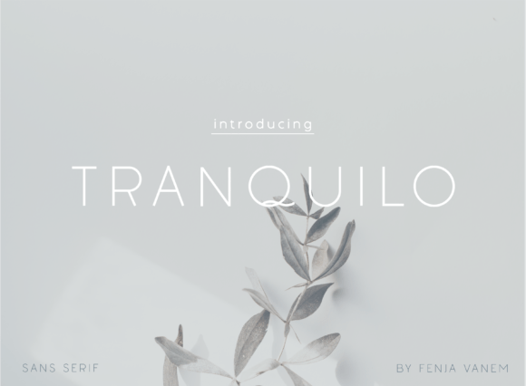 Tranquilo: A Modern Sans Serif for Web Design